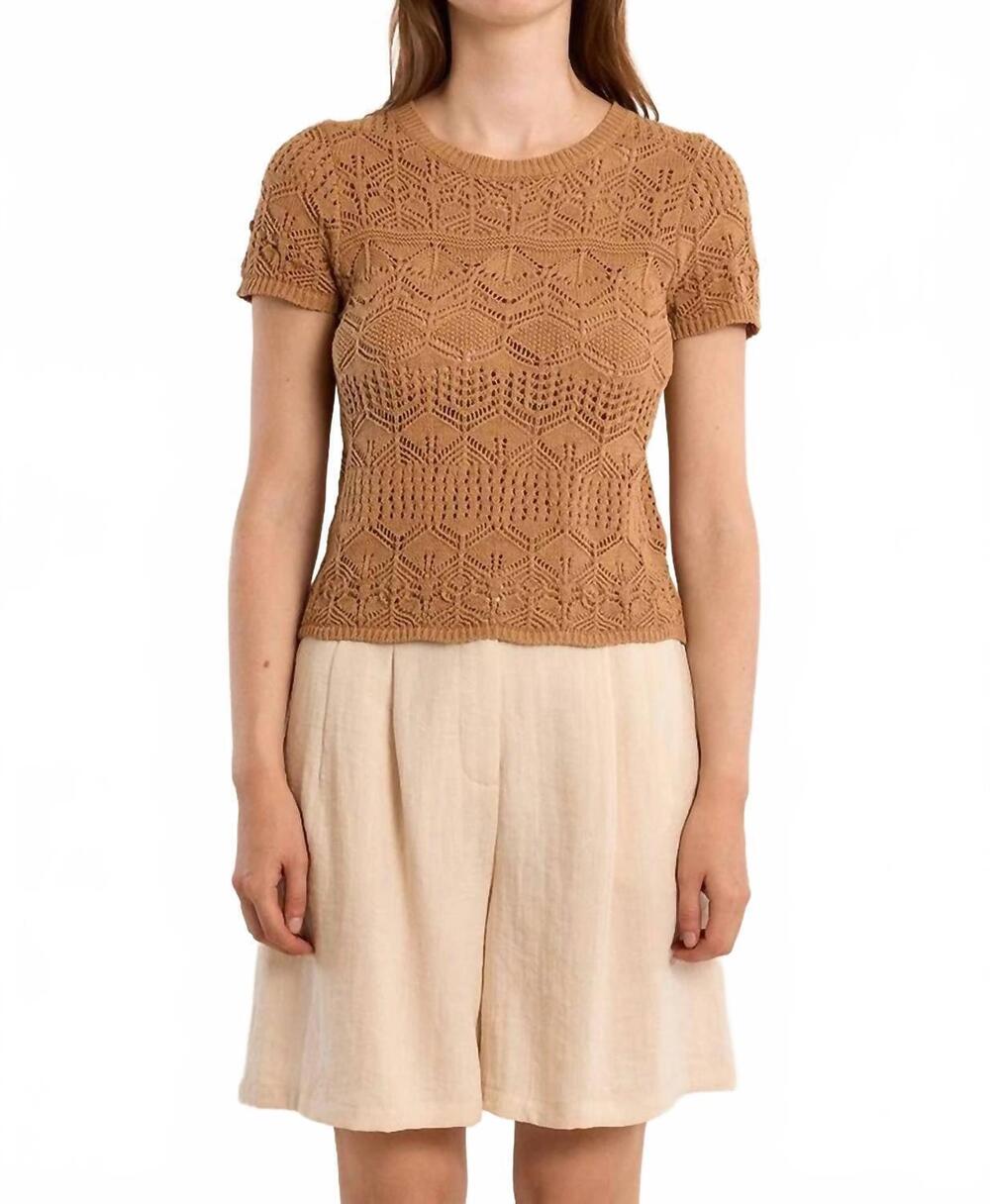 NEW MOLLY BRACKEN crew neck short sleeve top in brown